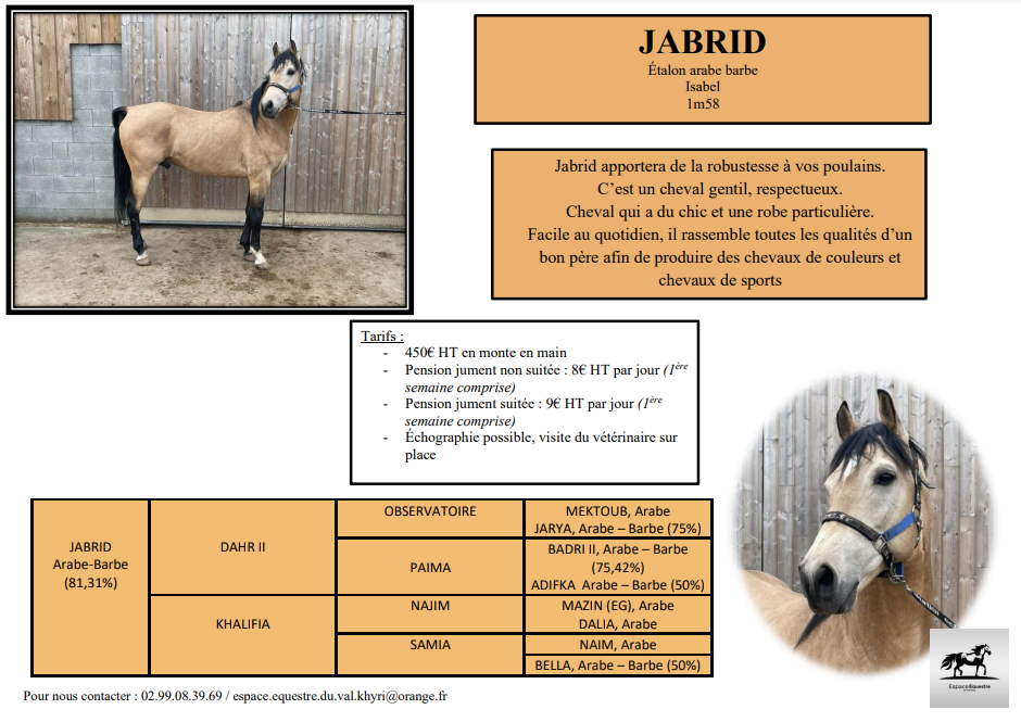 Jabrid